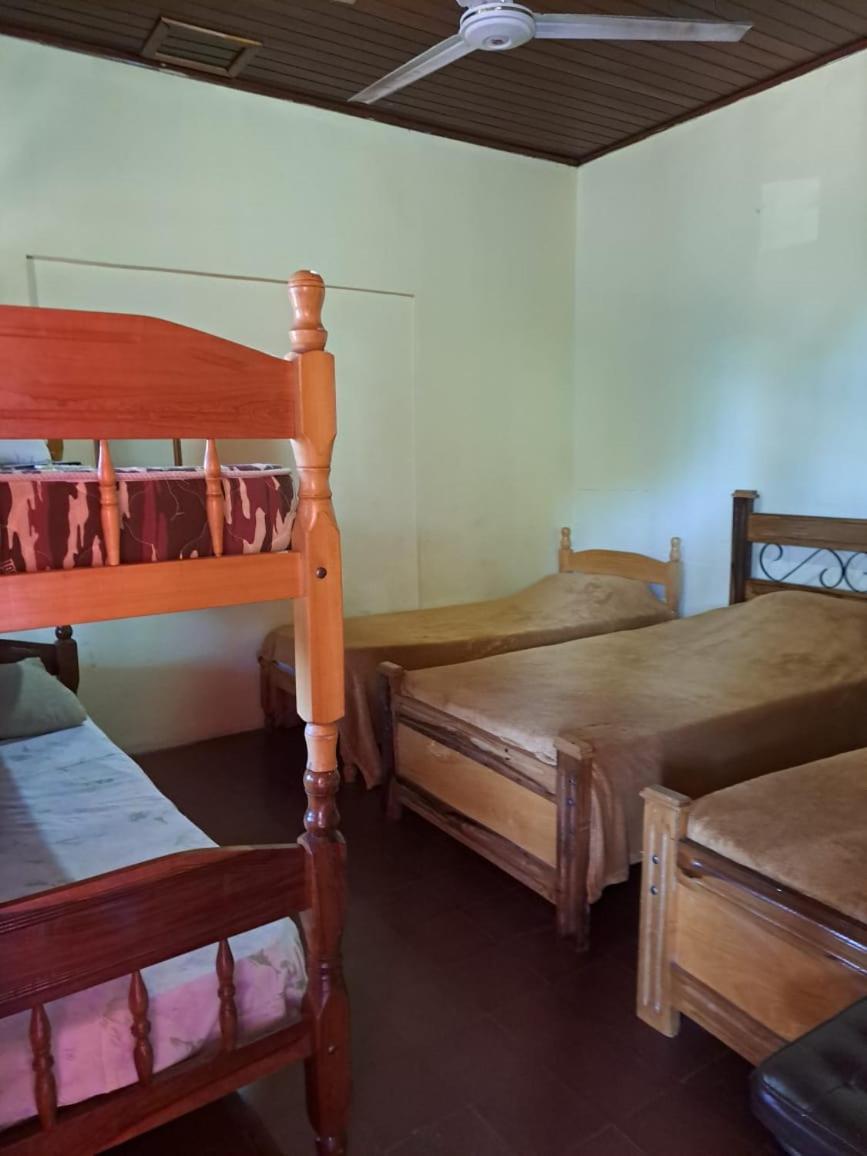 Hummingbird Hostel Ciudad del Este Esterno foto